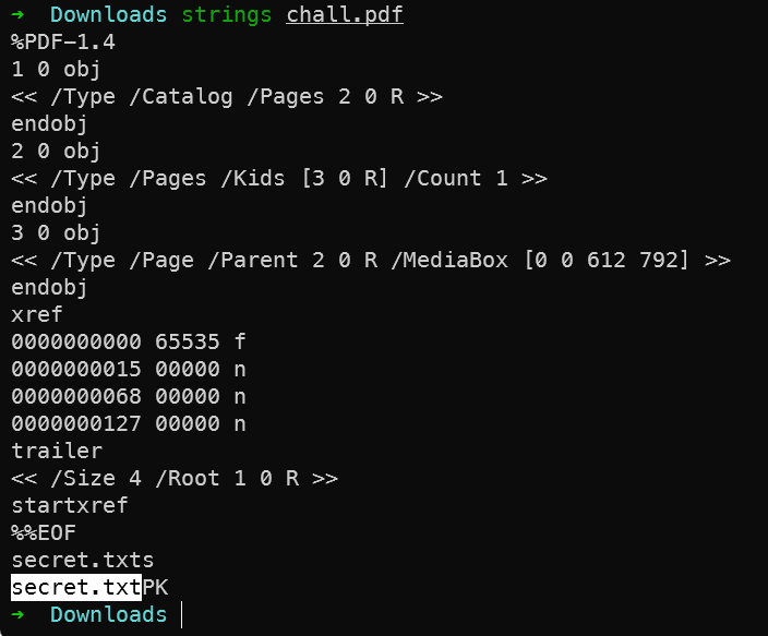 strings chall.pdf